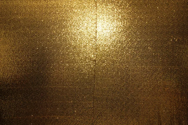 Gold Sequin photo booth backdrop